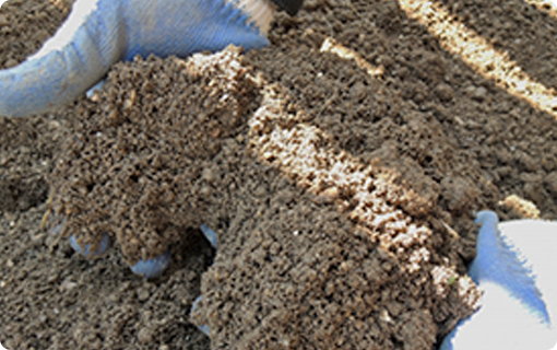 害虫の酒類によって消毒に適した時期があります!