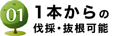 1本からの 伐採・抜根可能